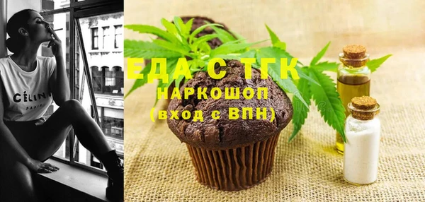 гидра Бородино
