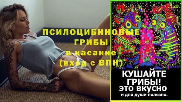 гидра Бородино