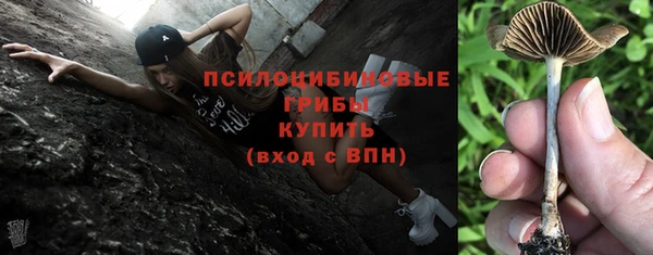 альфа пвп Верхнеуральск